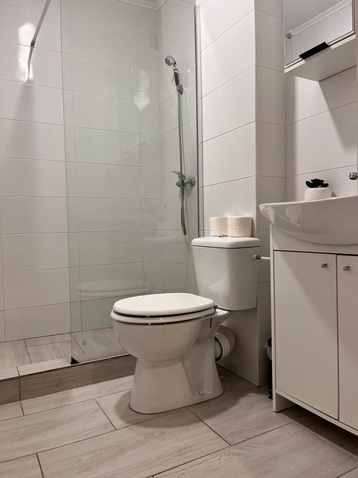 White & Silver Luxury Apartament Craiova Exterior photo